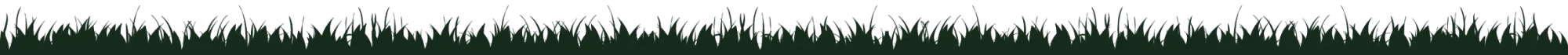 herbe
