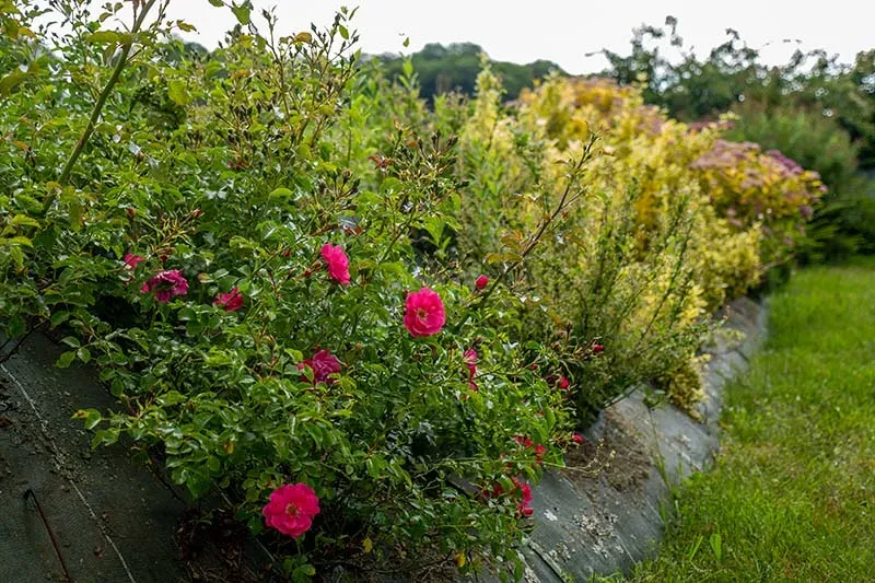 Conception de jardin de tous les styles