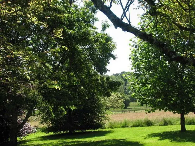 Entretien de jardin
