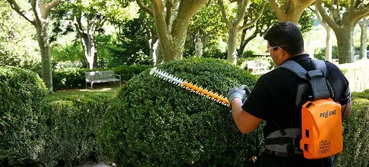 entretien jardin