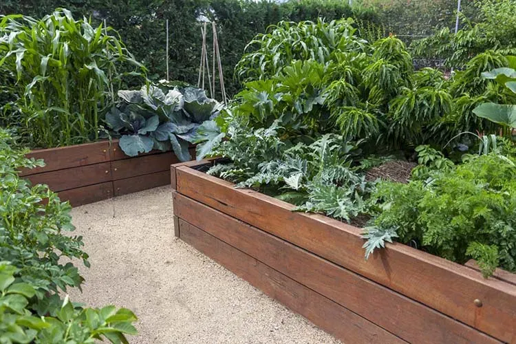 aménagement jardinwebp
